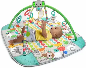 5 in 1 Activity Pit and Gym Mat