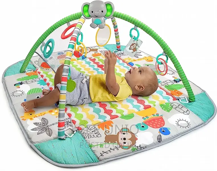 5 in 1 Activity Pit and Gym Mat