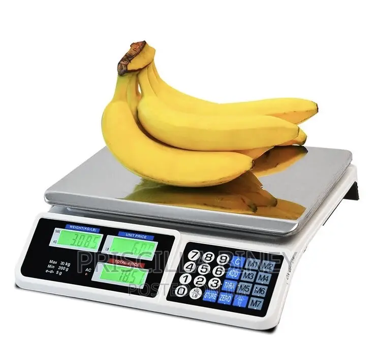 Computing Pricing Scales