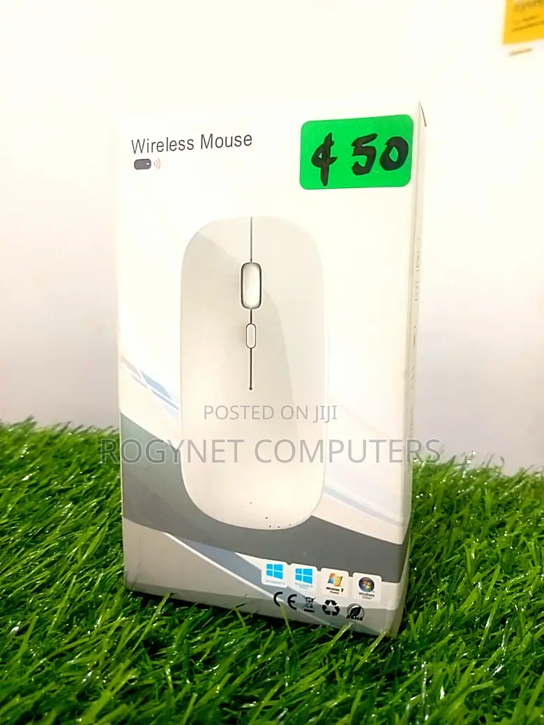 Chargeable Mouse