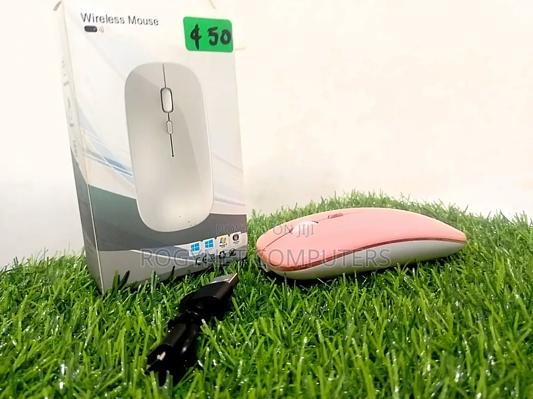 Chargeable Mouse