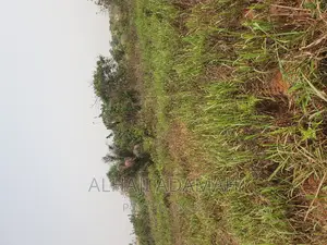 Four Plots of Lands at Santasi Darko New Site