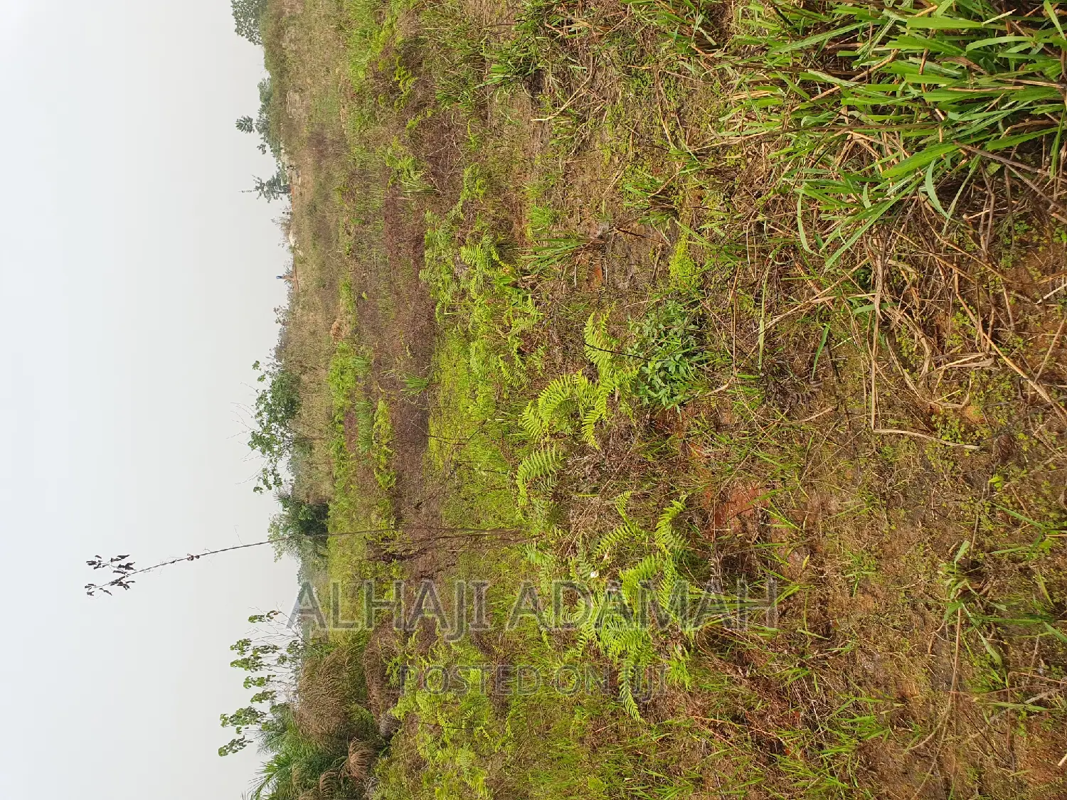 Four Plots of Lands at Santasi Darko New Site