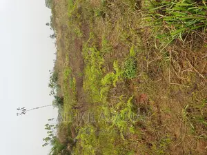 Four Plots of Lands at Santasi Darko New Site