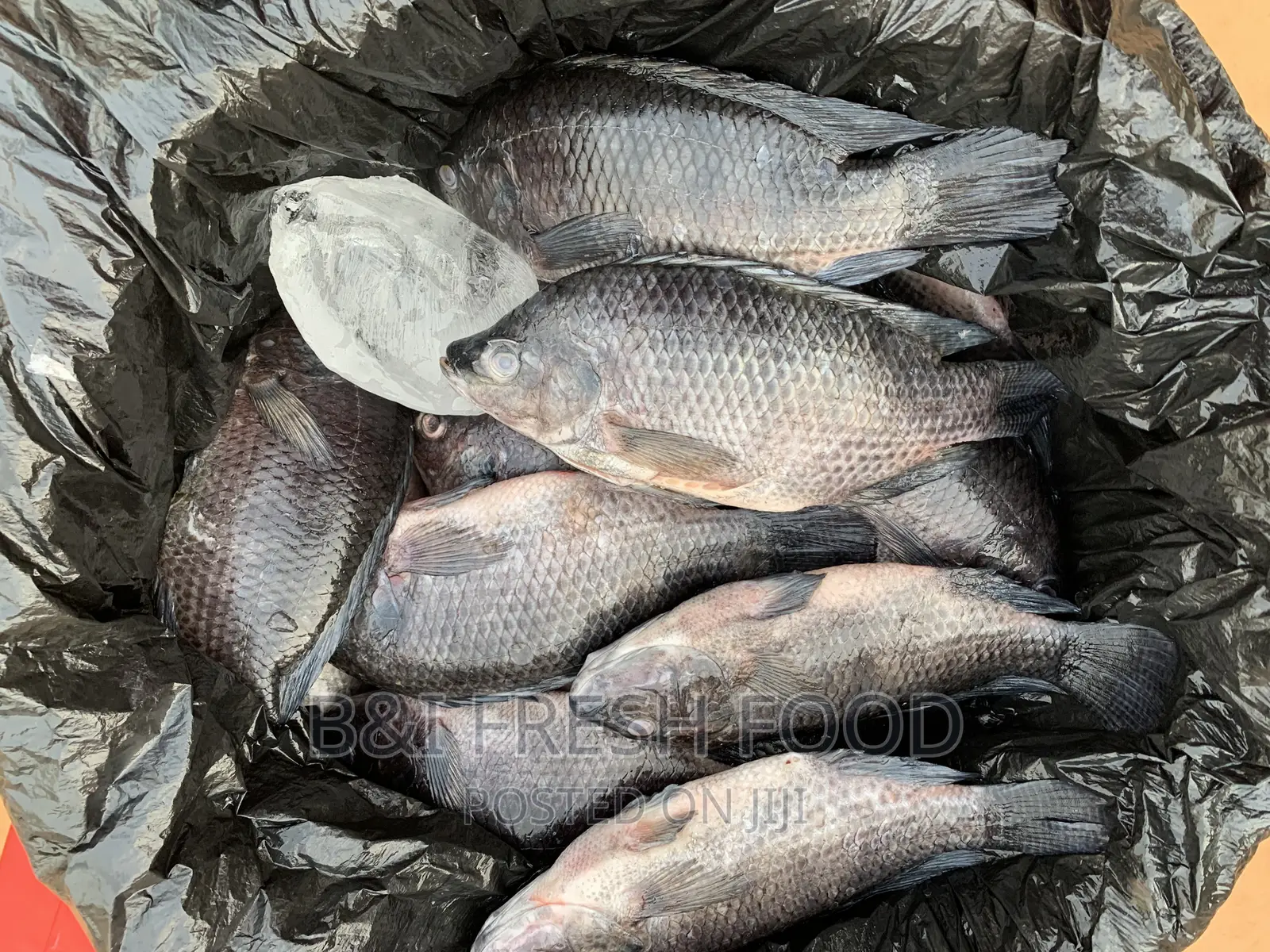 Fresh Tilapia for Sale