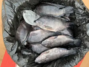 Fresh Tilapia for Sale