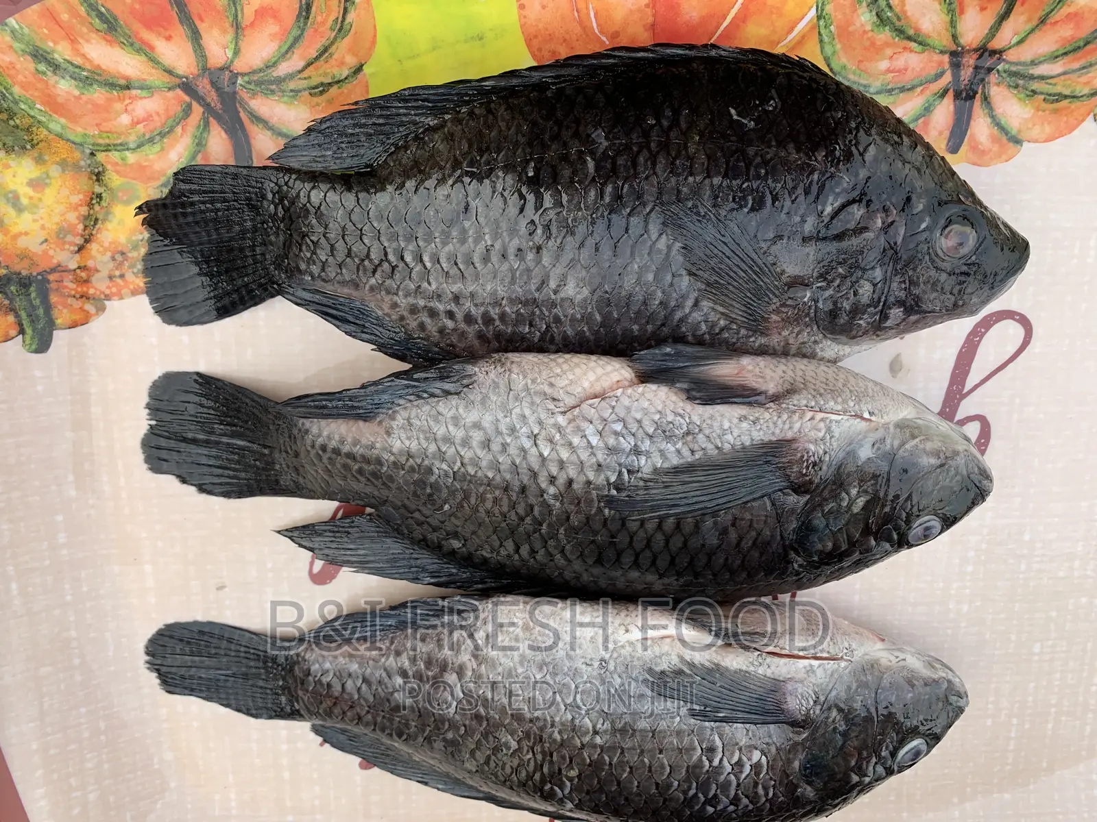 Fresh Tilapia