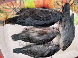 Fresh Tilapia