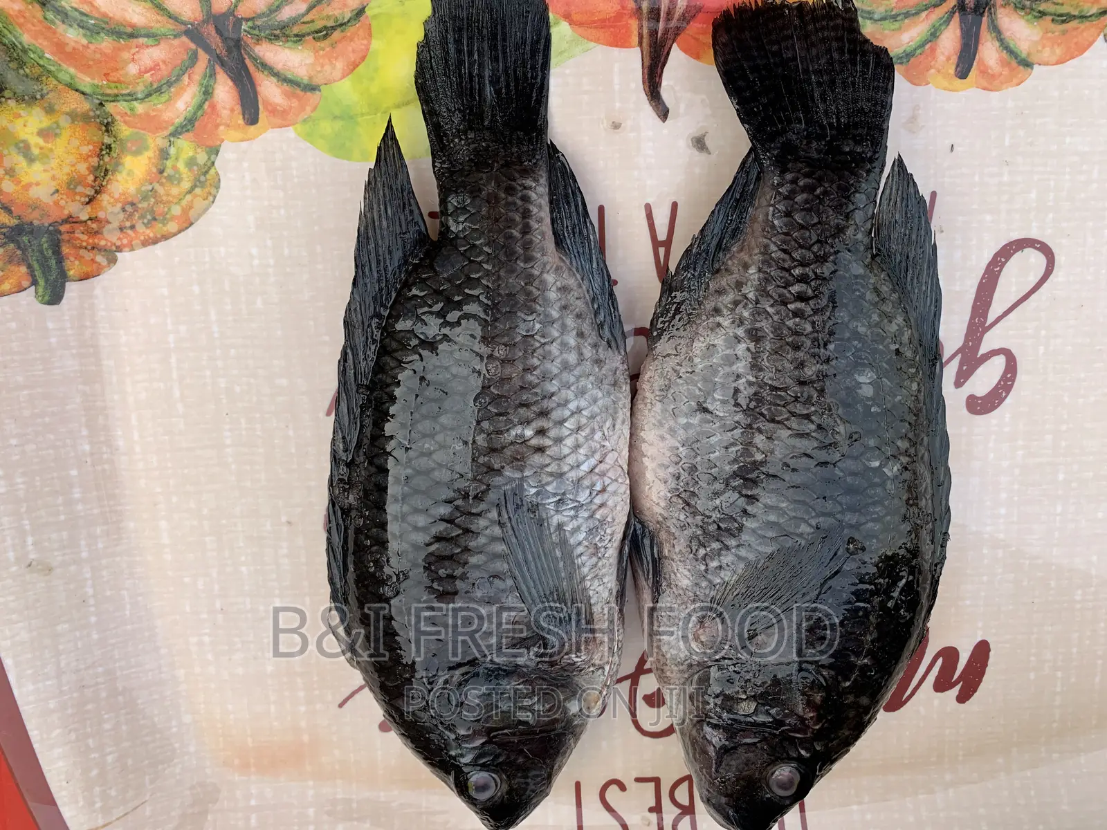 Fresh Tilapia