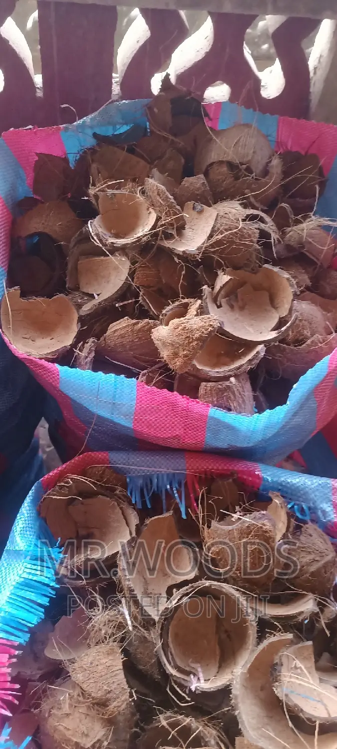 Dry Coconut Shells