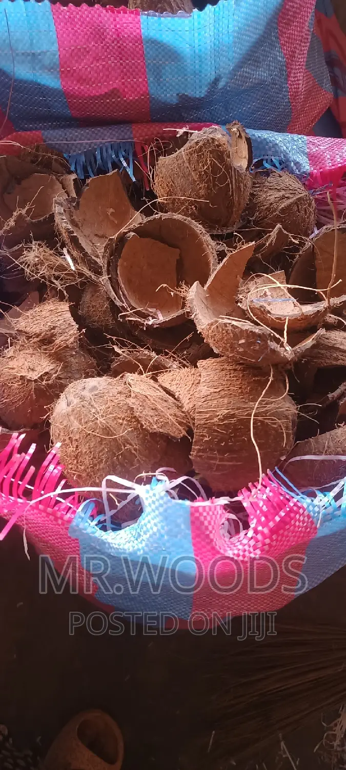 Dry Coconut Shells