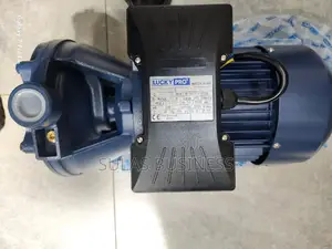 3 Hp Double Impeller Lucky Pro Pump