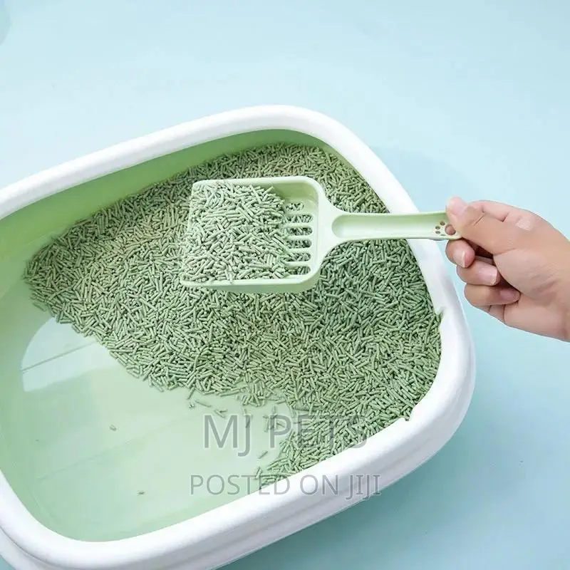 Cat Litter Box