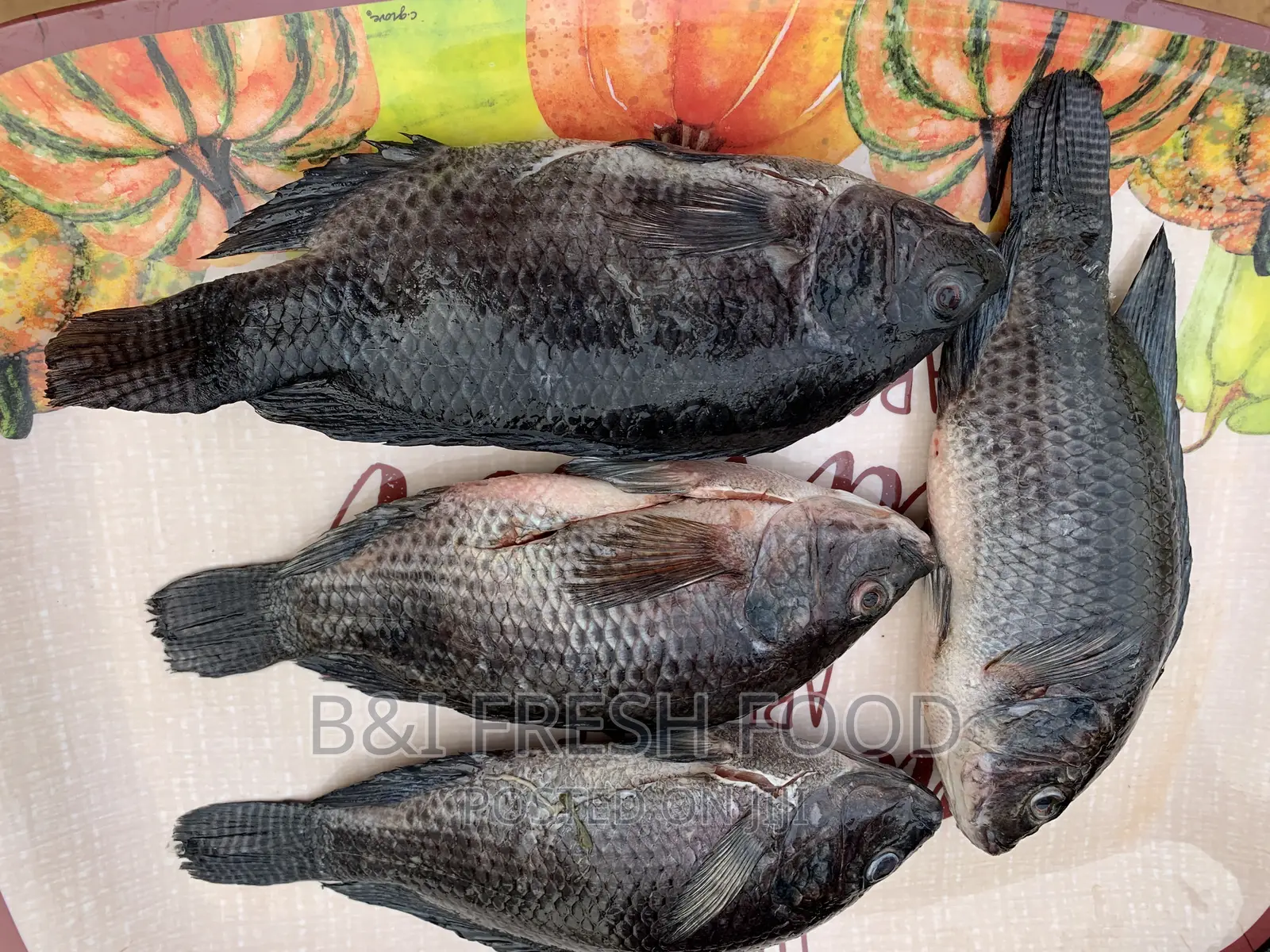 Local Fresh Tilapia