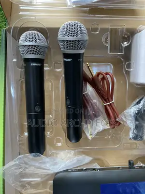 Shure Wireless Combo System BLX (PG58)