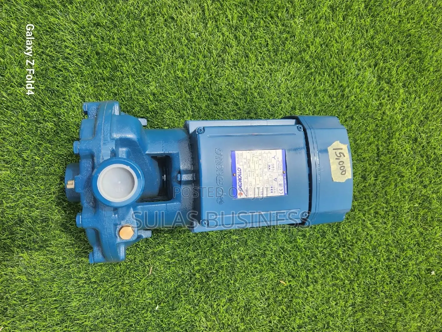 Double Impeller 4HP Pedrollo Pressure Pump