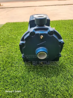 Double Impeller 4HP Pedrollo Pressure Pump