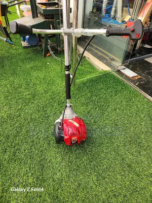4 Stroke Mainstay Bush Cutter