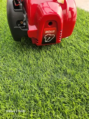 4 Stroke Mainstay Bush Cutter
