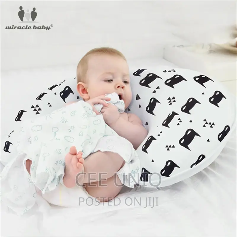 Breastfeeding Pillow or Nursing Pillow