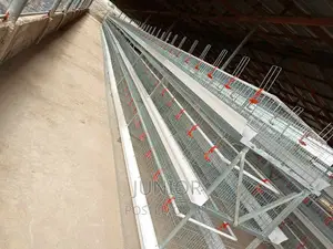 Strongest Chicken Cages