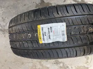 265/55r19 Dunlop