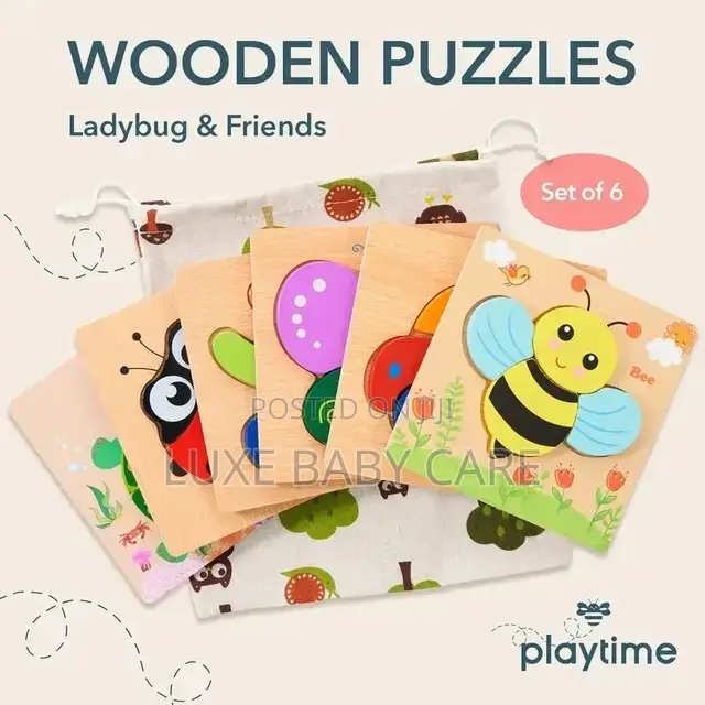 Wooden Puzzles for Improving Intelligence.