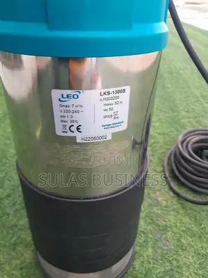 1.3 HP 52m Leo Well Pump
