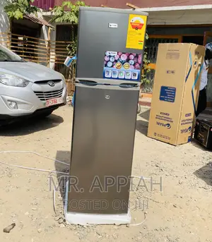 PF-270 Ix Double Door Pearl Refrigerator(Gray).