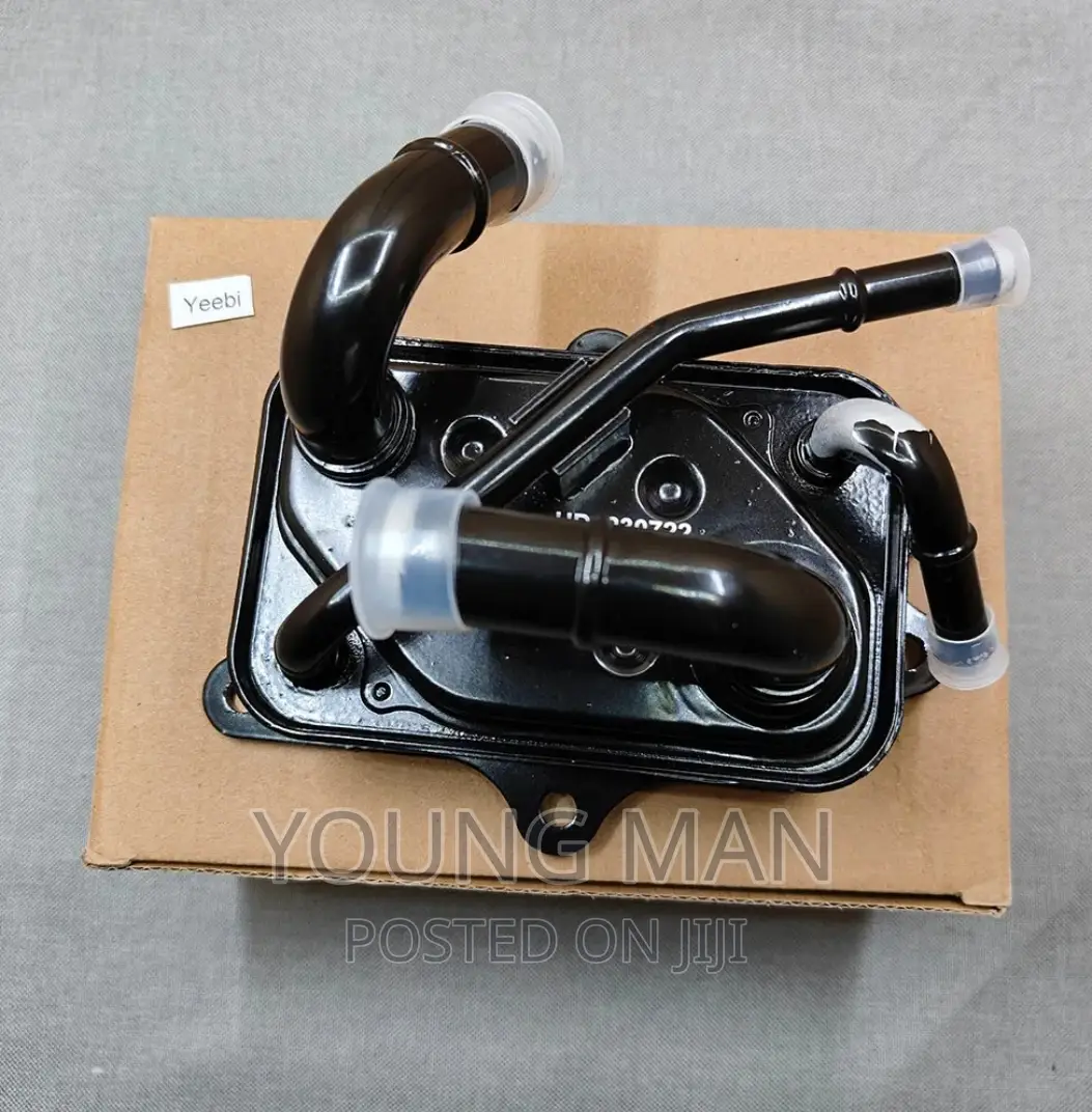 Elantra, Santafe, Sportage, Sonata 2017_2020 Oil Cooler
