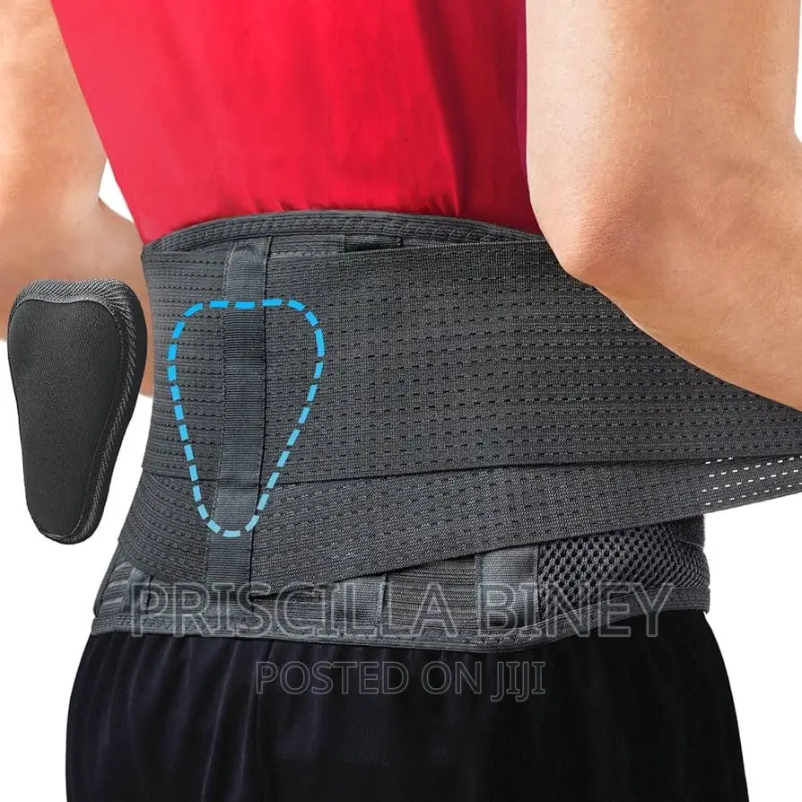Back Support Belt