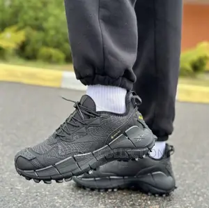 Reebok Zig Kinetica 2.5