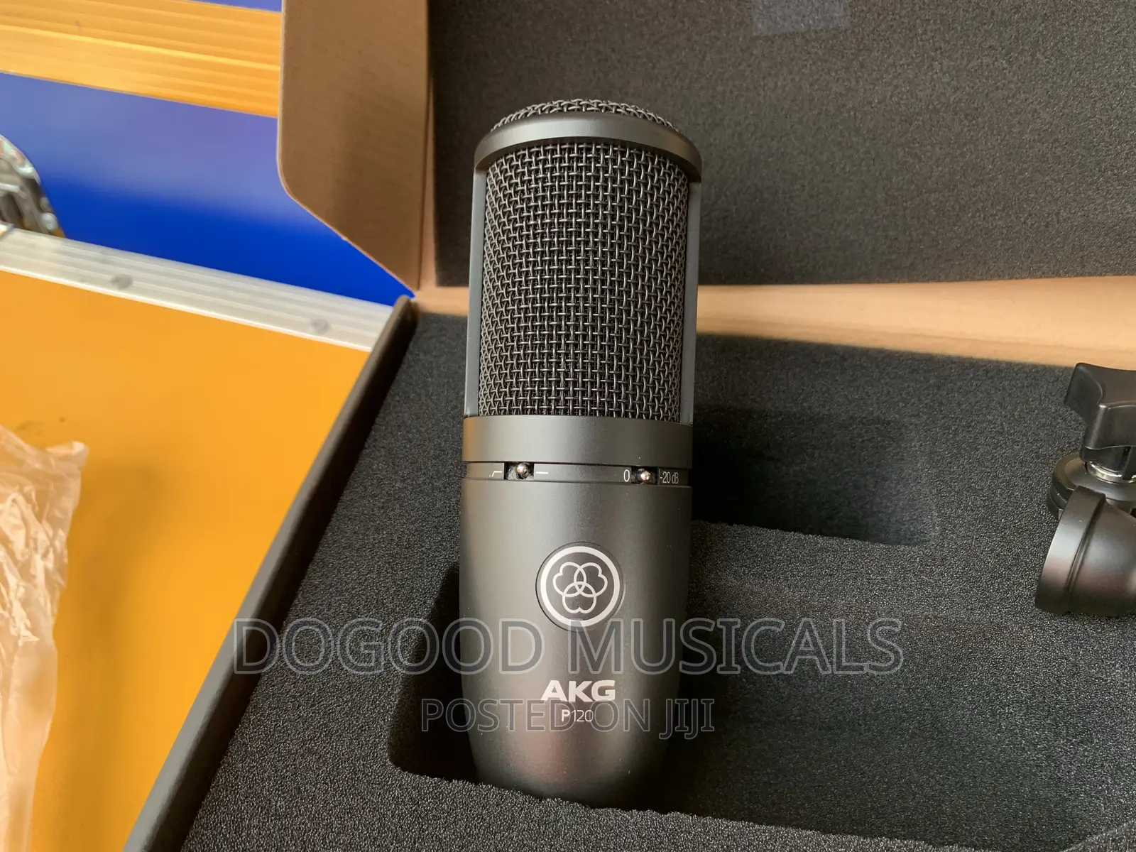 AKG P120 Condenser Microphone