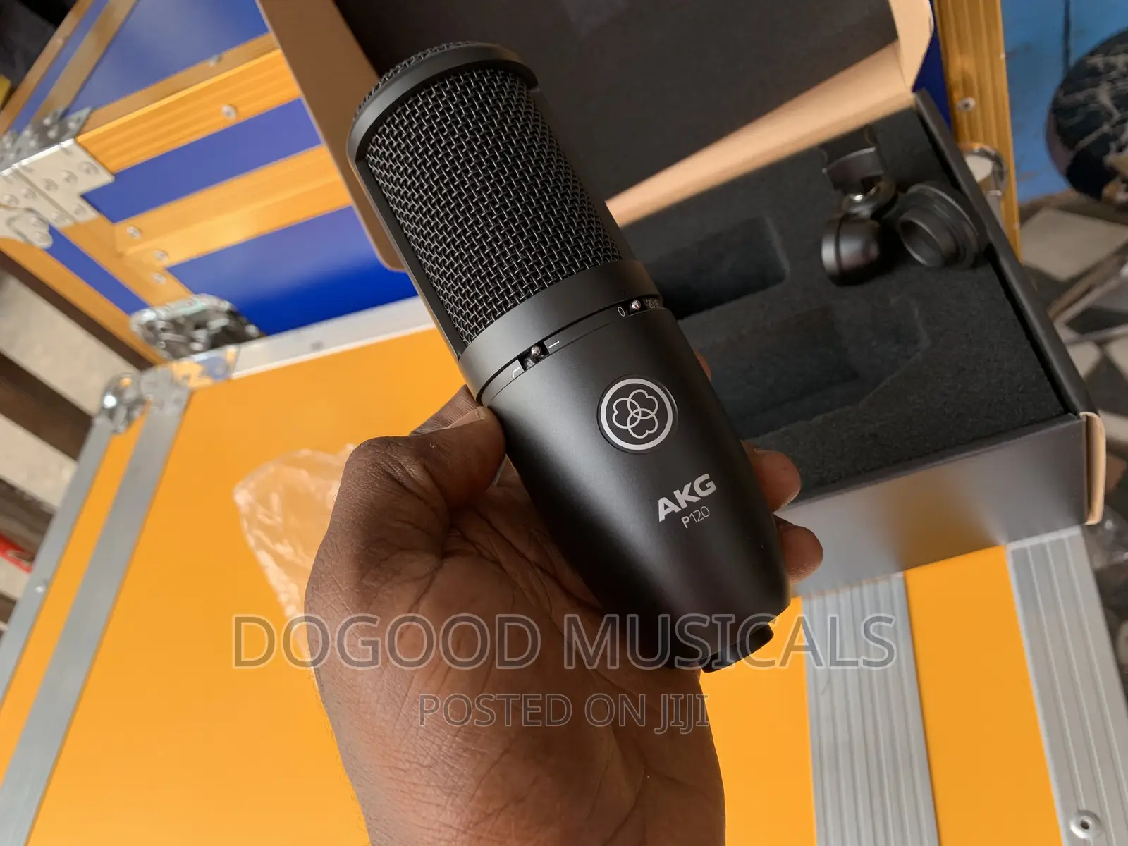 AKG P120 Condenser Microphone