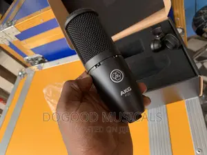 AKG P120 Condenser Microphone
