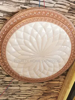 Modern Led Ceiling Lamp/Lights