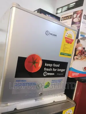 Standard//Sigma 48L Mini Fridge