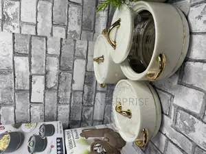 Stylish Insulated Food Warmer Set