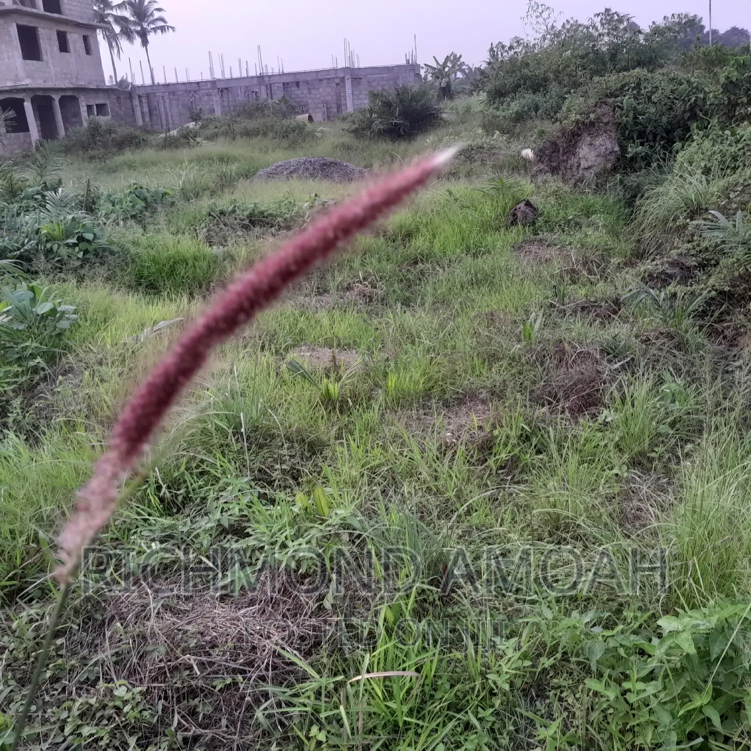 Plot for Sale at Mpatado