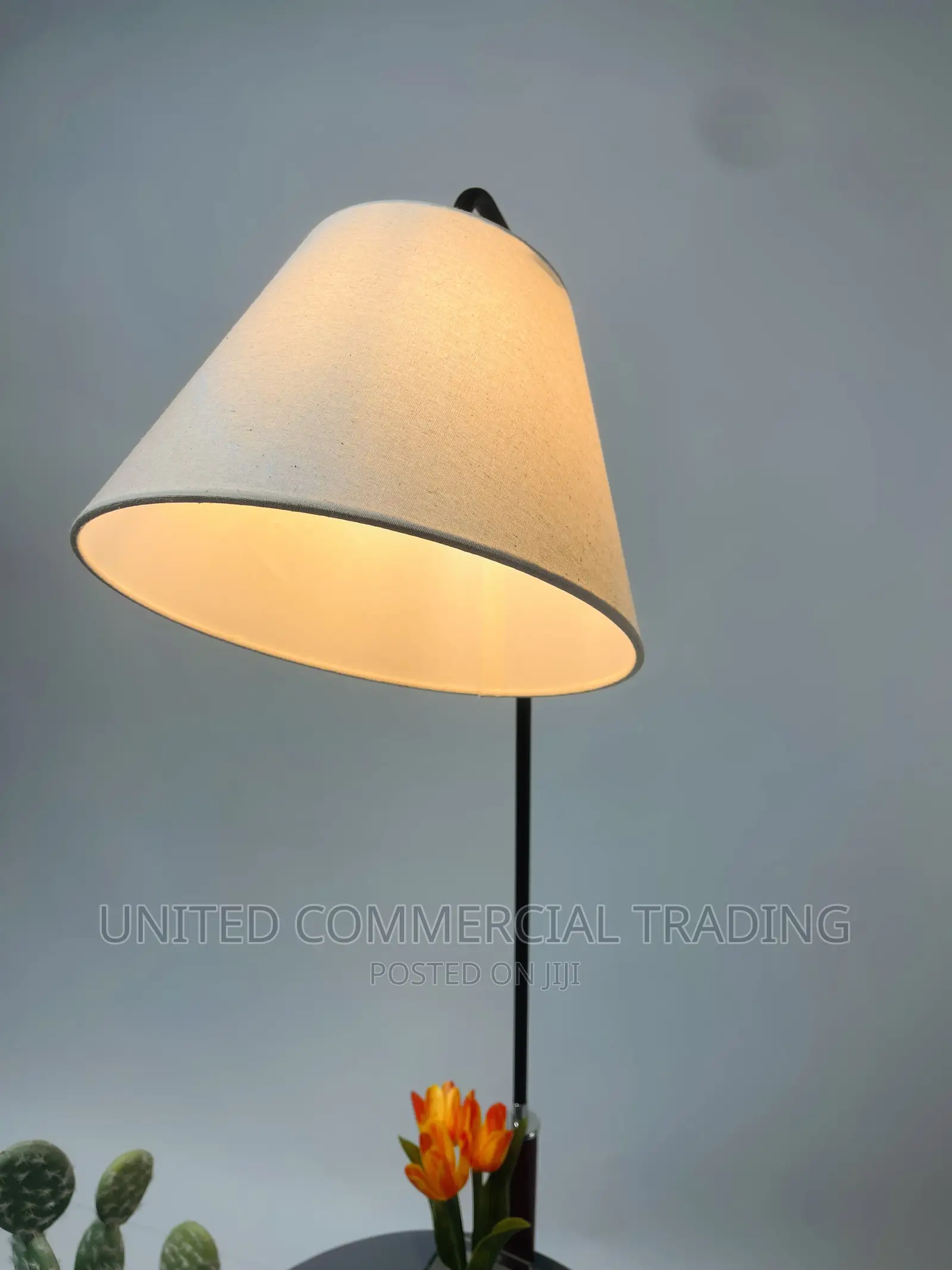 Floor Lamp