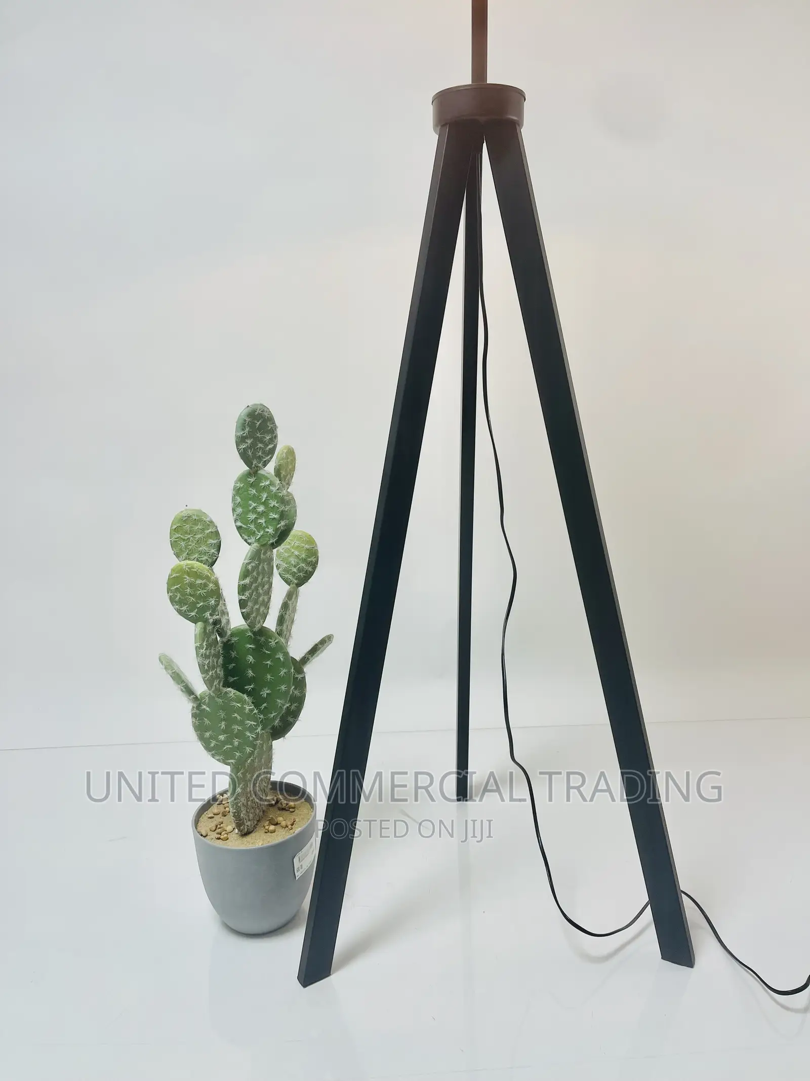 Floor/Standing Lamp