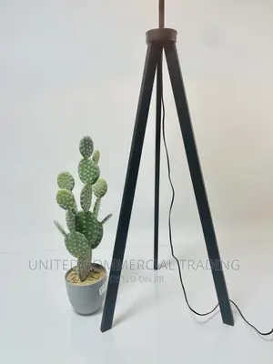 Floor/Standing Lamp