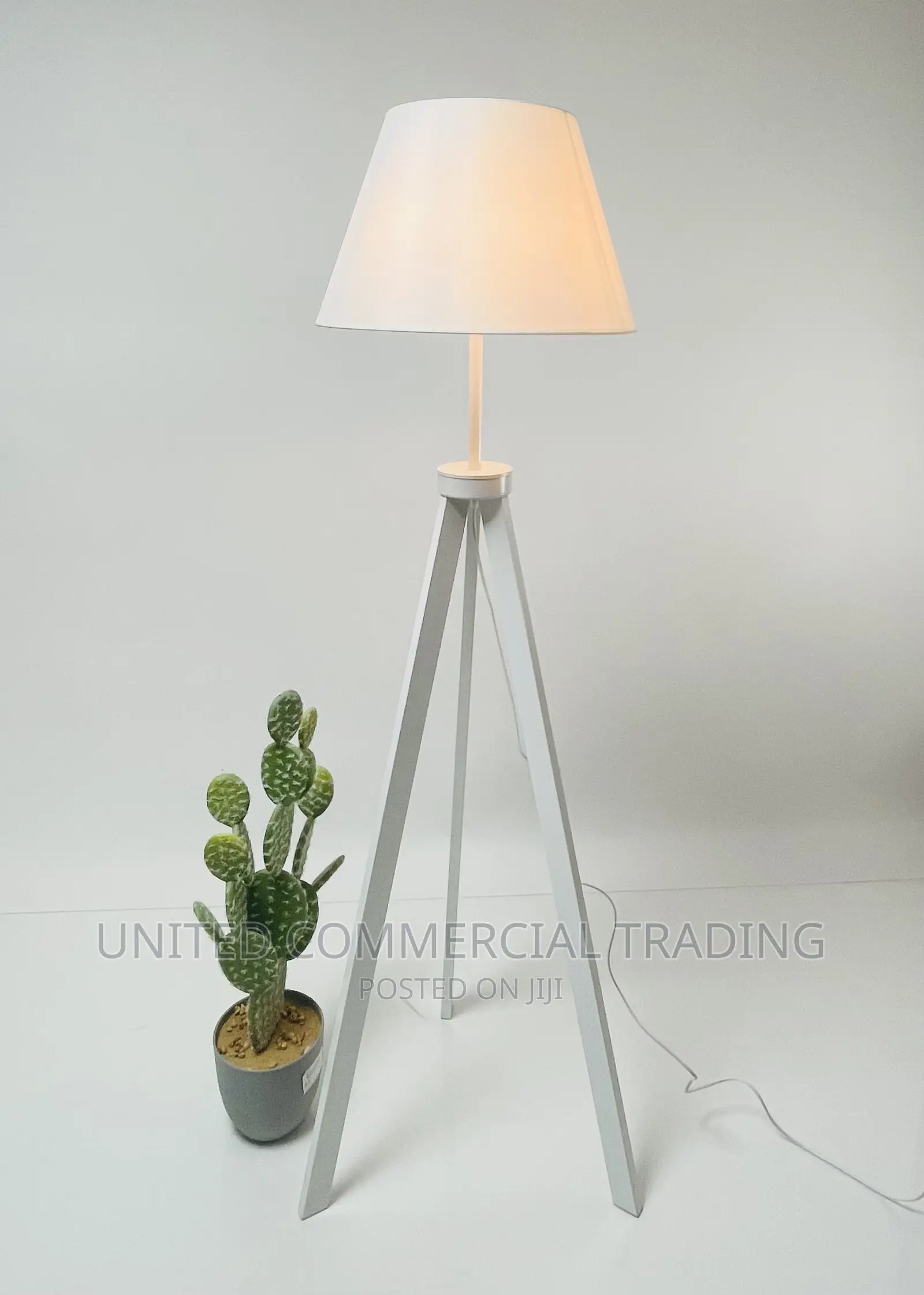 Floor/Standing Lamp