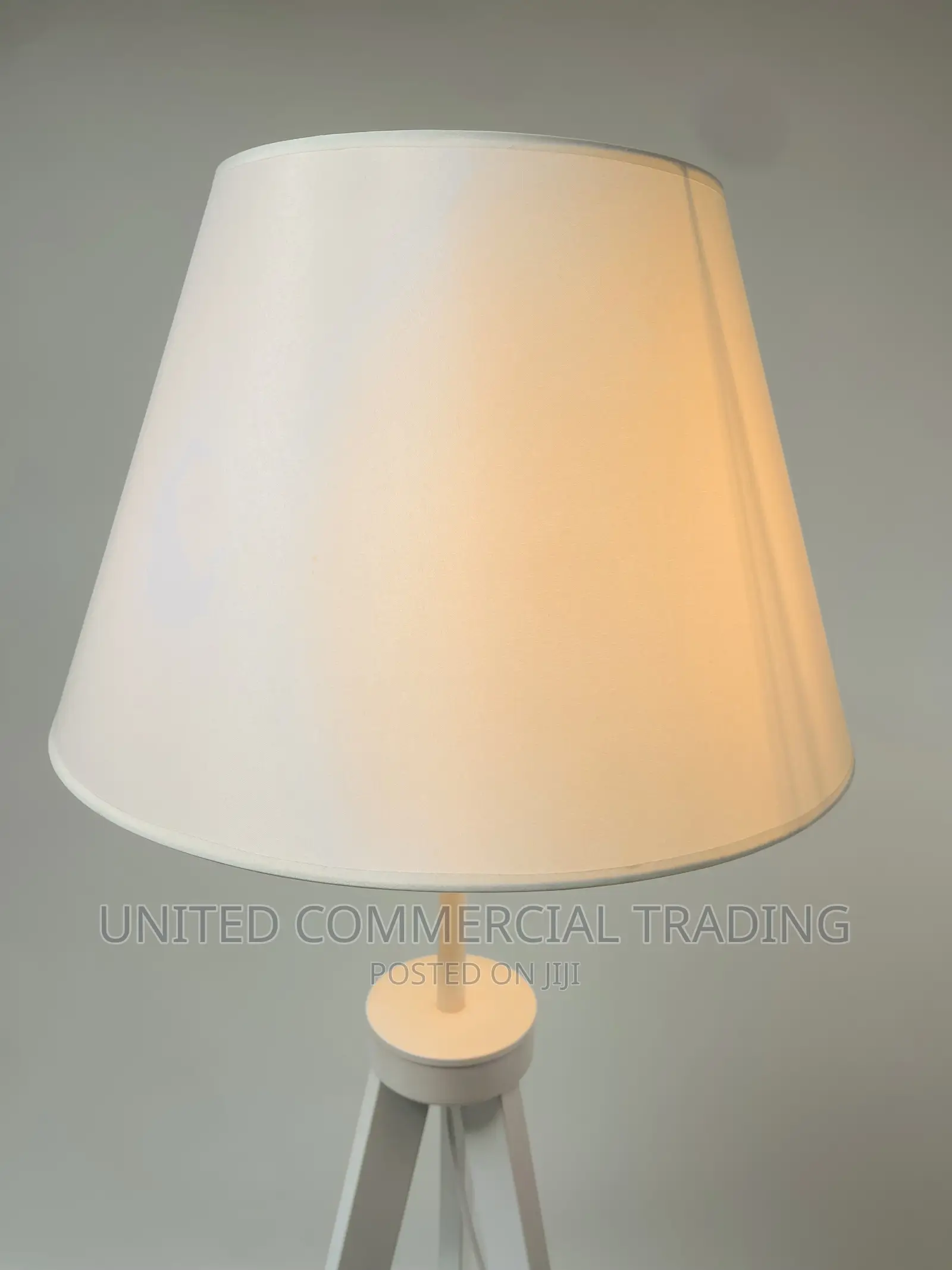 Floor/Standing Lamp