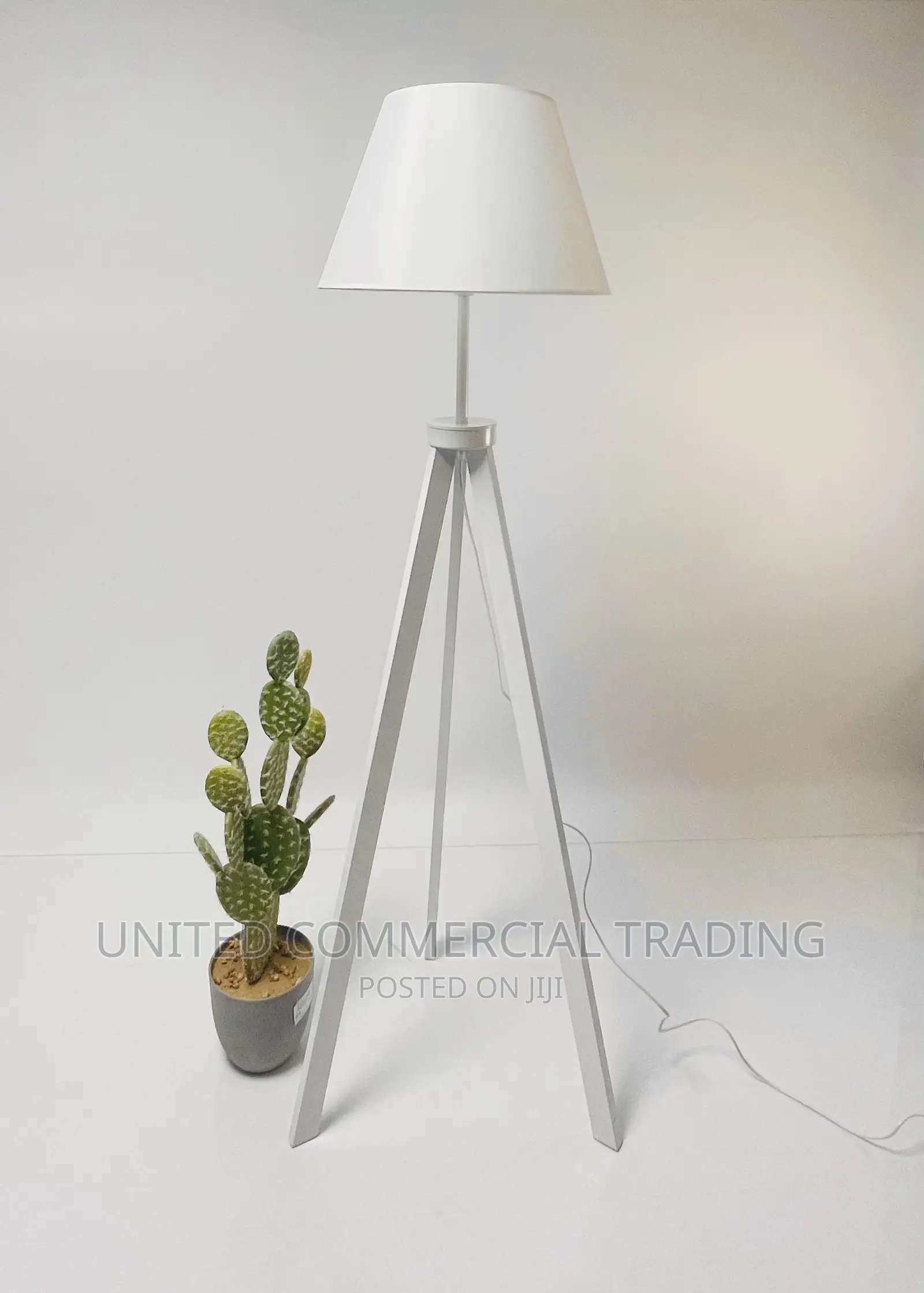 Floor/Standing Lamp