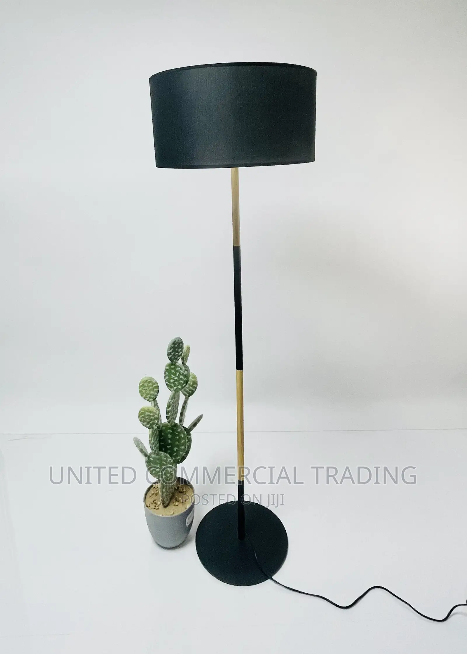 Floor/Standing Lamp