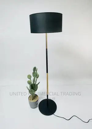 Floor/Standing Lamp