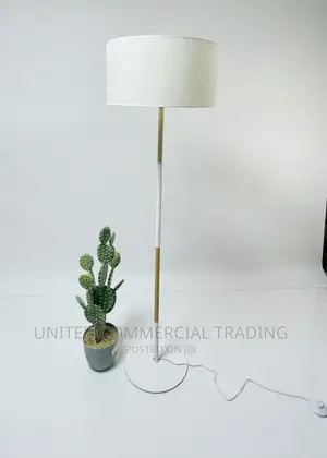 Floor/Standing Lamp