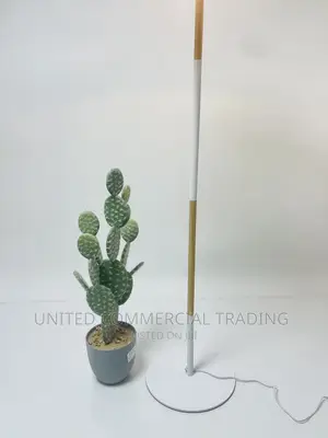 Floor/Standing Lamp