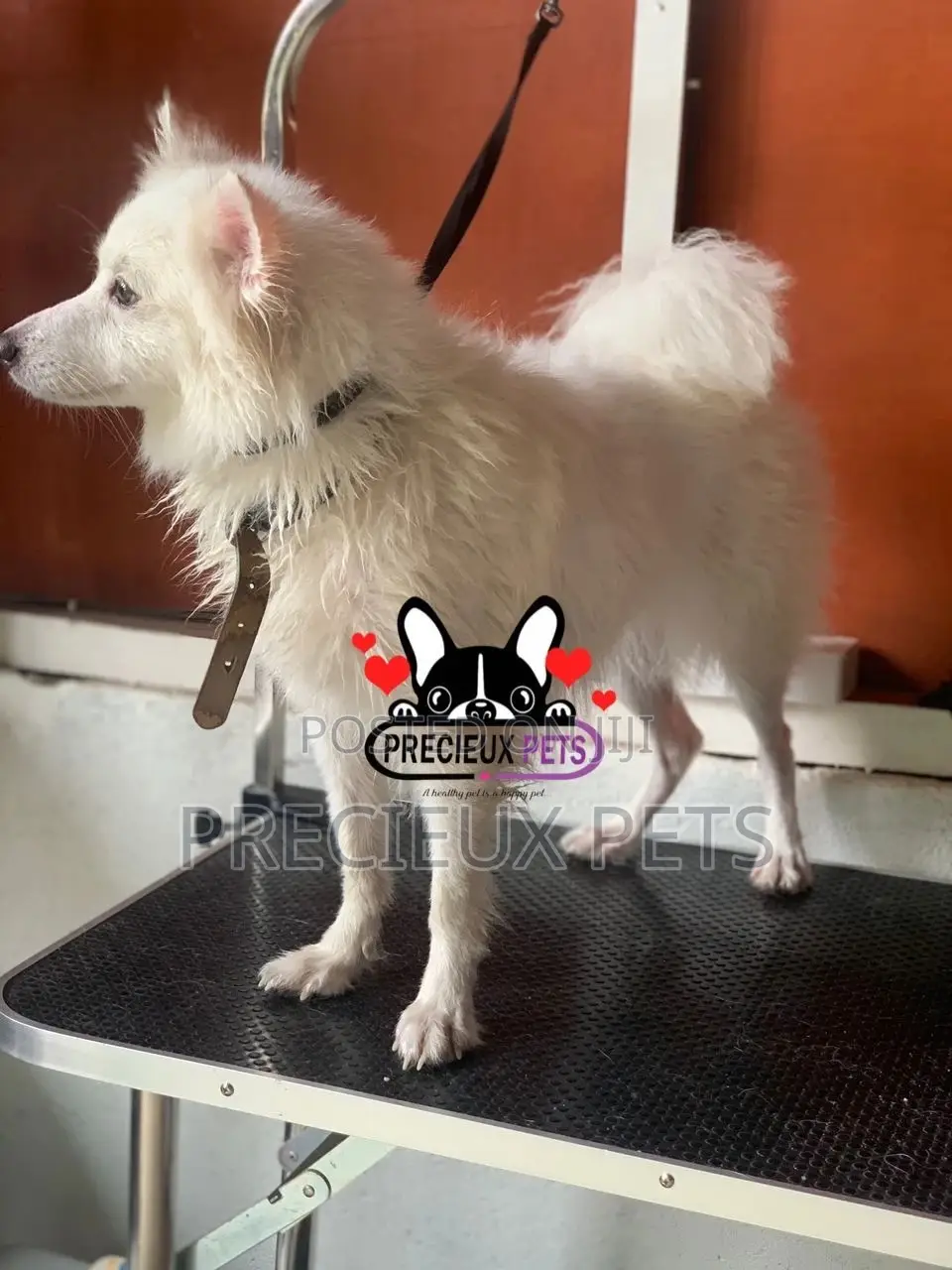 Deluxe-Grooming -#0001